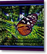 Butterfly Dreams Metal Print