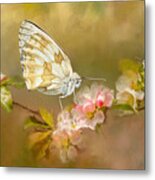 Butterfly Floral 014 Metal Print