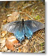 Butterfly In The Forest Metal Print