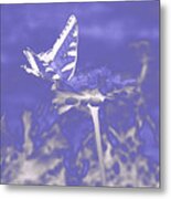 Butterfly In The Mist Metal Print
