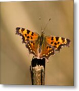 Butterfly On A Stick Metal Print