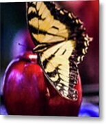Butterfly On Apple Metal Print