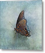 Butterfly On Blue Metal Print