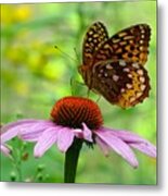 Butterfly On The Flower Metal Print