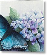 Butterfly On The Hydrangea Metal Print