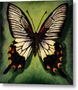 Butterfly Study #1 Swallowtail Metal Print