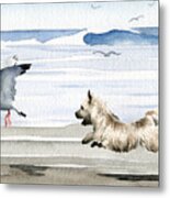 Cairn Terrier On The Beach Metal Print