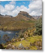 Cajas Park And The Andes Metal Print