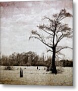 Cajun Landscapes Metal Print