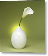 Calla Lily And Vase Metal Print