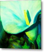 Calla Lily Metal Print