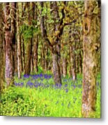 Camas And Oaks Metal Print