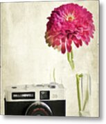 Camera And Flowers Metal Print