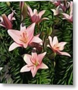 Candy-striped Day Lilies Metal Print