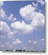 Canola Field Metal Print