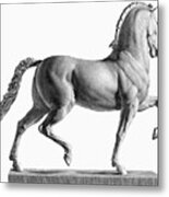 Canova: Horse Metal Print