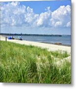 Cape Henlopen Delaware Metal Print