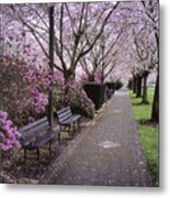 Capital Bloom Metal Print