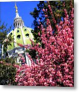 Capitol In Bloom Metal Print