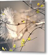 Captured Small Feather_03 Metal Print