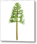 Carboniferous Pine Tree Metal Print