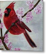 Cardinal In Cherry Blossoms Metal Print
