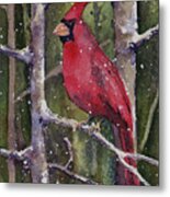 Cardinal Metal Print