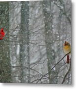 Cardinals In Snow Metal Print