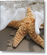 Caressed By The Sea Metal Print