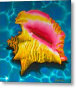 Caribbean Conch Metal Print