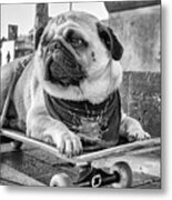 Carlos De Barcelona Metal Print