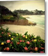 Carmel Beach And Iceplant Metal Print