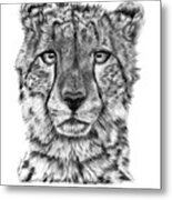 Cassandra The Cheetah Metal Print