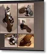 Cat And Mice Alternate Views Metal Print