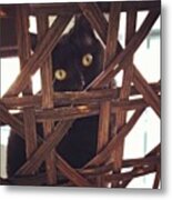 Cat Eyes -- Squeakers Metal Print