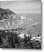 Catalina Island Avalon Harbor Black And White Photo Metal Print