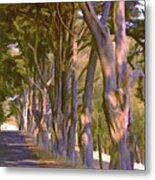 Cathedral Of Trees Metal Print