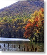 Cattails By Lake With Sharp Top In Background Metal Print