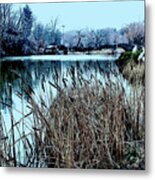 Cattails On The Water Metal Print