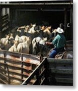 Cattles Auction Metal Print