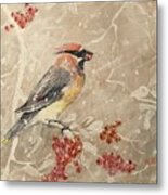 Cedar Waxwing Metal Print