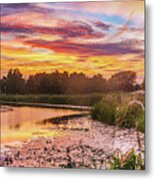 Celebrating Sky Metal Print