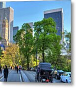 Central Park Carriage Path New York Ny Metal Print