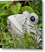 Ceramic Frog Metal Print