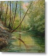 Chagrin River In Spring Metal Print