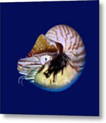 Chambered Nautilus In The Deep Blue Metal Print