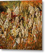 Changing Season Metal Print