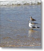 Outer Banks Obx #12 Metal Print