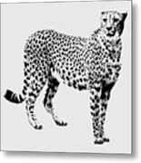 Cheetah Cutout Metal Print