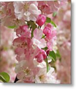 Cherry Blossom Closeup Vertical Metal Print